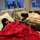 Women are treated for a suspected cholera infection at a hospital in Sanaa, Yemen. (Image: AP)